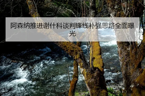 阿森纳推进谢什科谈判锋线补强思路全面曝光